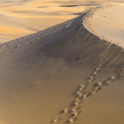 2 sets of footprints thru desert sand dunes
